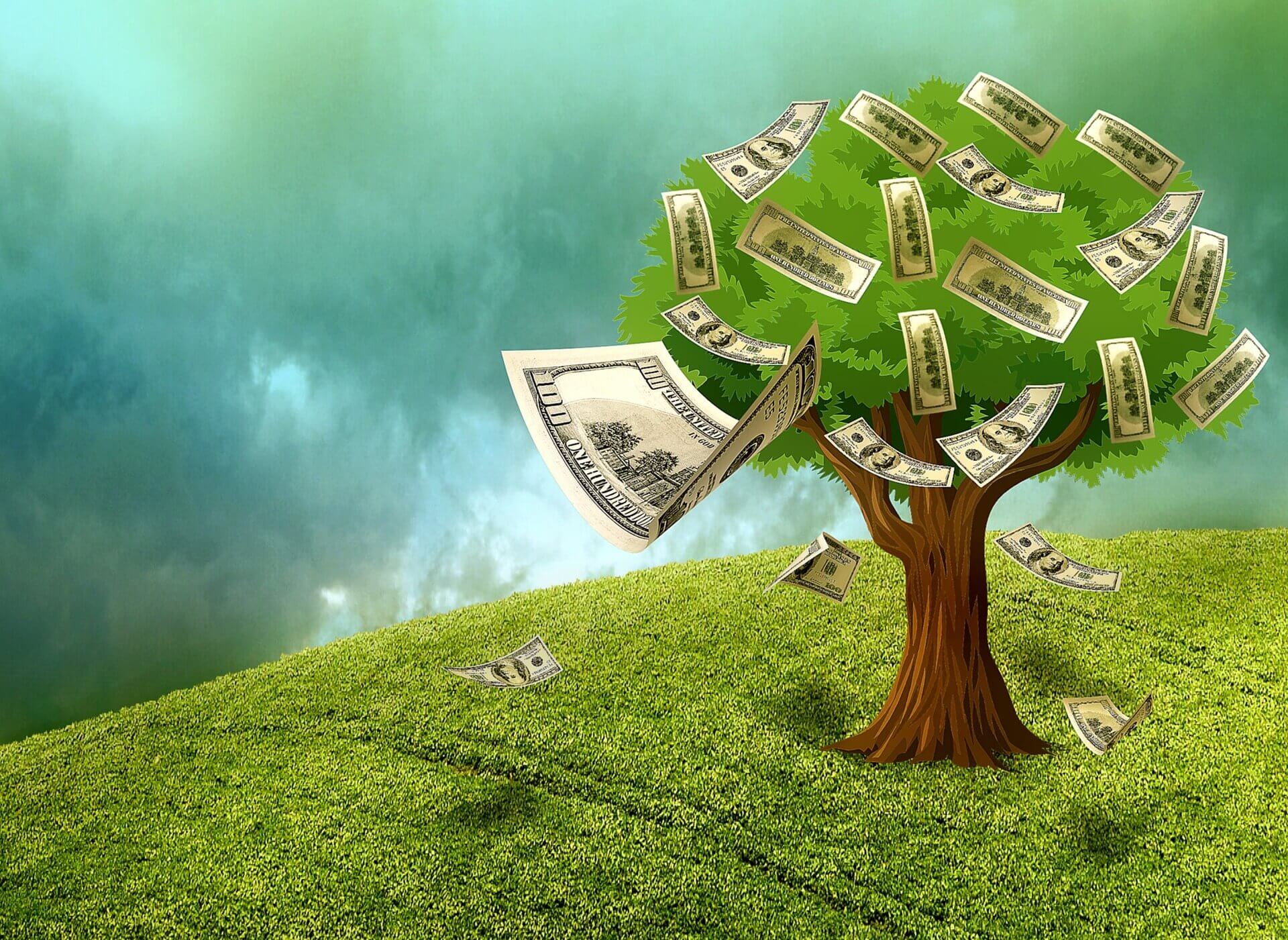 Pengar växer tyvärr inte på träd. Hur kan man sanera sin ekonomi