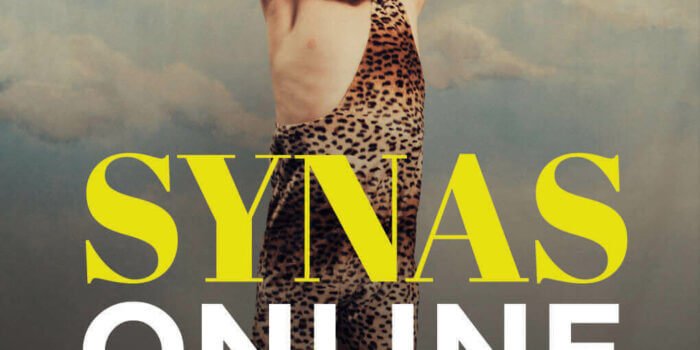 Synas Online. Nybörjarens guide till marknadsföring och sökmotoroptimering bokomslag